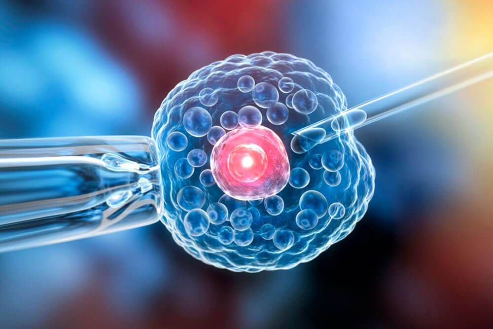 Medicina Regenerativa